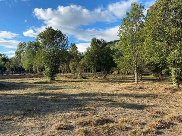Terreno en venta en Sitio en Parque Calcurrupe cerca de Llifen (180226), Futrono