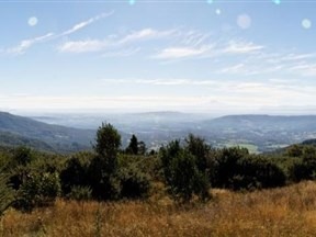 Terreno en venta en Oportunidad, Gorbea