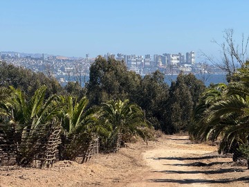 Terreno en venta en Espectacular vista al mar terreno 5000mt (173111), Quintero
