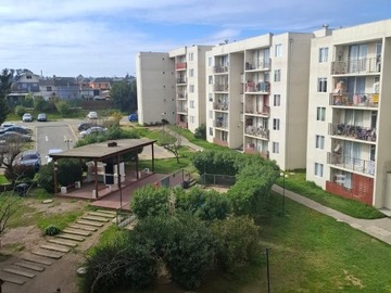 Departamento en arriendo mensual en Cardenal samore 2171, Valparaíso - 2 dormitorios, 1 baño