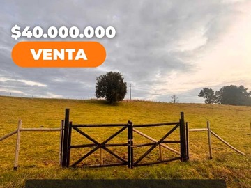 Terreno en venta en Terreno Amplio con Excelente Conectividad (178648), Lago Ranco