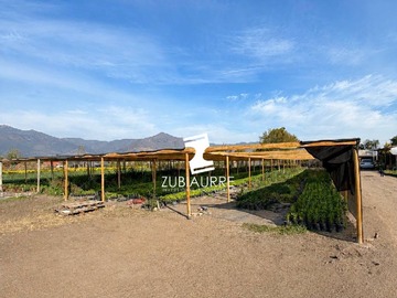 Parcela en venta en En Venta Parcela Productiva y Residencial la Palma, Quillota - 5 dormitorios, 3 baños