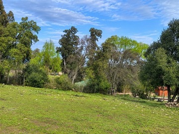 Terreno Agricola en venta en Lo Patricio, Pelarco, Pelarco