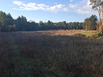Terreno Agricola en venta en Hermosa propiedad Sector El Arrayan Rio Bueno (171965), Río Bueno