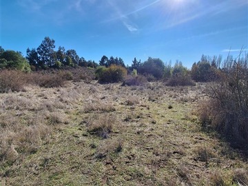 Parcela en venta en Sector Pantanillo, Observatorio, Laja