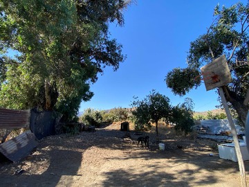 Casa en venta en vendo casa con 900 mt2 de terreno tiltil (84125), Til til - 4 dormitorios, 2 baños