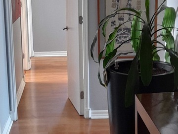 Departamento en venta en Avenida Coraceros, Viña del Mar - 4 dormitorios, 3 baños