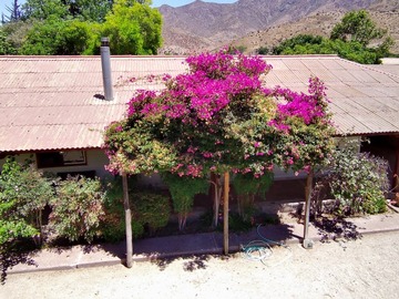 Venta / Casa / La Serena