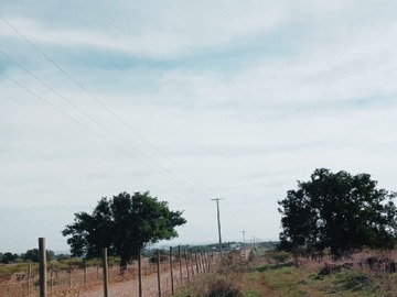 Parcela en venta en Parcela en el Convento, Santo Domingo, V Region
