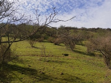 Parcela en venta en El manzano, Las Cabras