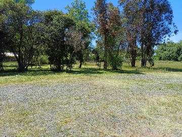 Terreno en venta en VENDE Parcela con Cabaña y Piscina (174863), Cabrero - 3 dormitorios, 1 baño