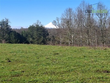 Terreno Agricola en venta en U-960-V, cercano a sector Paraguay (ruta Frutillar-Tegualda), Frutillar