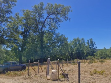 Parcela en venta en Rio blanco, Fresia