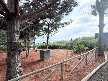 Terreno en venta en Parcela con arboles añosos y vistas al mar (178037), Valparaíso