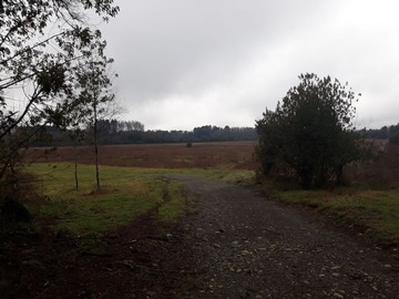Parcela en venta en Ruta s-91 km 5, Loncoche