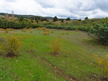 Venta / Terreno / Quillón
