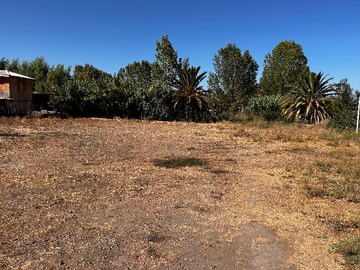 Arriendo Mensual / Terreno / Talagante
