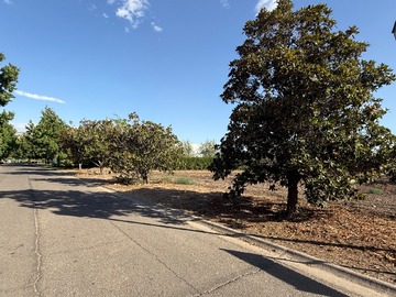 Terreno en venta en El Parronal 1114, Colina, Región Metropolitana de Santiago 9340000, Chile, Colina