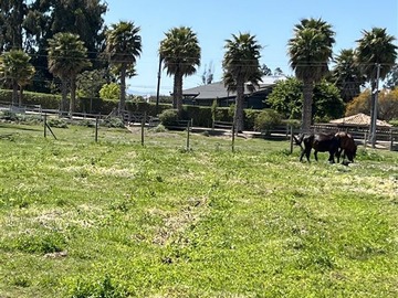 Parcela en venta en Camino Alto Rumay, Melipilla
