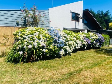 Casa en venta en Playa niklitschek, Puerto Varas - 5 dormitorios, 4 baños