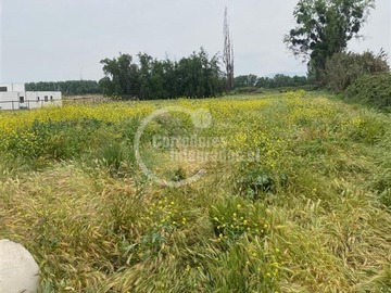 Parcela en venta en Camino carampangue ppw, Talagante