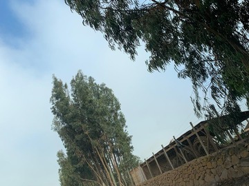 Terreno en venta en Santa Filomena Pan de Azúcar La Serena, Coquimbo