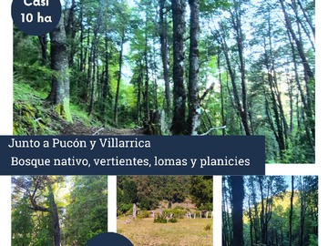 Terreno en venta en Gran Terreno en el Sur de Chile