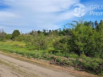 Parcela en venta en Dirección (Norte - Sur) Km 468 (pasarela el Mago) Lotéo ubicado a solo metros de la ruta 5 Sur., Cabrero