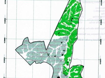 Terreno Agricola en venta en Docamávida / Curepto / Hualañé, Curepto