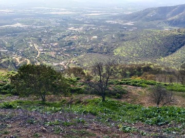 Terreno Agricola en venta en San pedro, Quillota