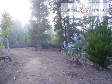 Terreno en venta en Terreno en zona productiva portuaria de Placilla, Valparaíso