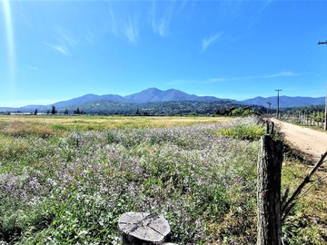 Terreno Agricola en venta en Parcela 3, fundo Sta. Ema, Tabolango, Limache., Limache