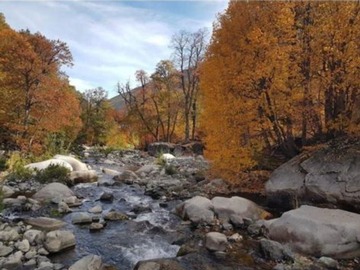 Terreno Agricola en venta en Sector Curillinque, Colbún