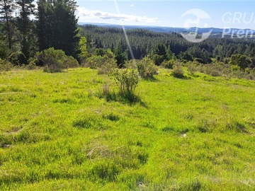 Parcela en venta en Brisas de Rinconada. Ruta Q-34. Comuna de Laja., Laja