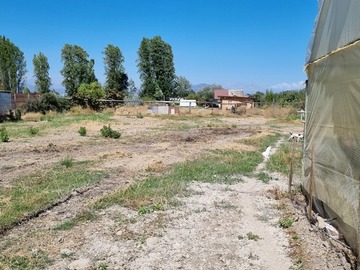 Terreno Agricola en arriendo mensual en Gultro, Olivar