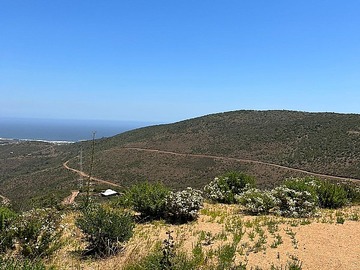 Parcela en venta en Venta de parcela en huaquen, cerca a playa pichicuy,la ligua, La Ligua