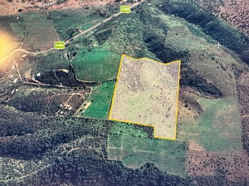 Venta / Terreno Agricola / San Pedro