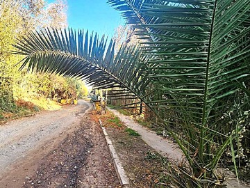 Terreno en venta en Terreno construccion en venta la florida (170951), La Florida