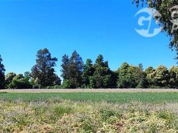Parcela en venta en Ruta 671 San Ignacio Ñuble, San Ignacio