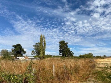 Parcela en venta en Camino a Termas de Chillán - Ruta N55, Pinto