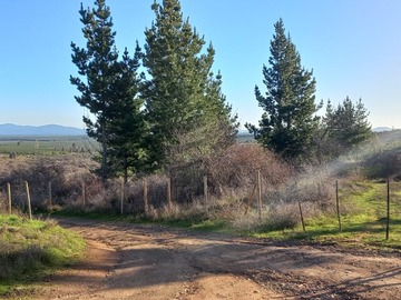 Venta / Terreno / Chillán