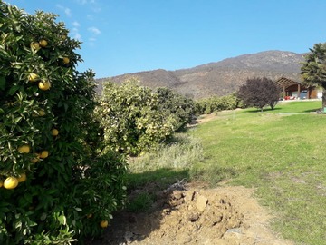 Terreno Agricola en venta en Culiprán, Melipilla - 4 dormitorios, 4 baños
