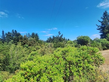 Parcela en venta en Ruta q-115, Los Ángeles