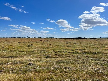 Terreno Agricola en venta en Sector de Belén, Parral