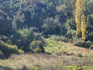 Terreno en venta en Espacio Ideal para Tu Proyecto Soñado (160213), Yumbel
