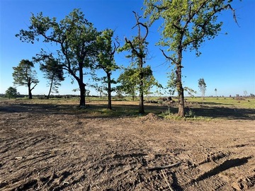 Terreno Agricola en venta en Sector Monteflor, Parral