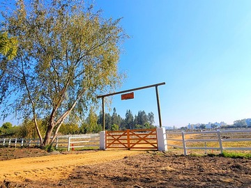 Parcela en venta en Los aromos, las cabras, Las Cabras