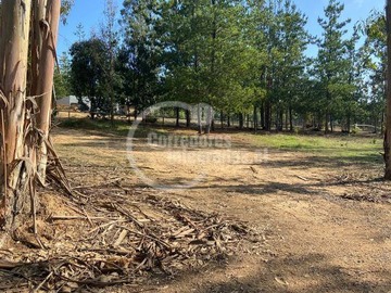 Parcela en venta en Condominio Los Centinelas / Algarrobo, El Quisco