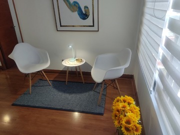 Departamento en arriendo mensual en Bellavista 165, Providencia - 1 dormitorio, 1 baño