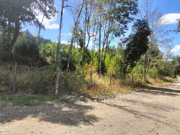 Terreno en venta en Venta Parcela en Coipue entorno Natural (151655), Freire